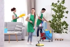 Limpieza y Jardinería